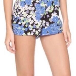 Wildfox Blue and Purple Swim/sleep Shorts Intimates